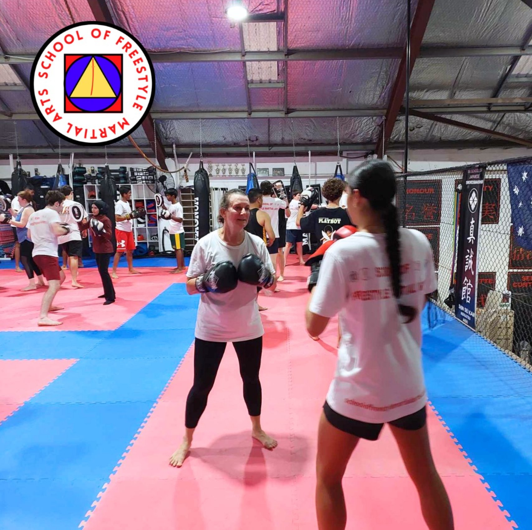 Adult Freestyle Martial Arts